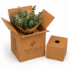 Caja para Flores y Plantas 24x24x30 cm con Ramo de Flores Caja para flores y plantas 24x24x30 cm con ramo de flores y soporte interior