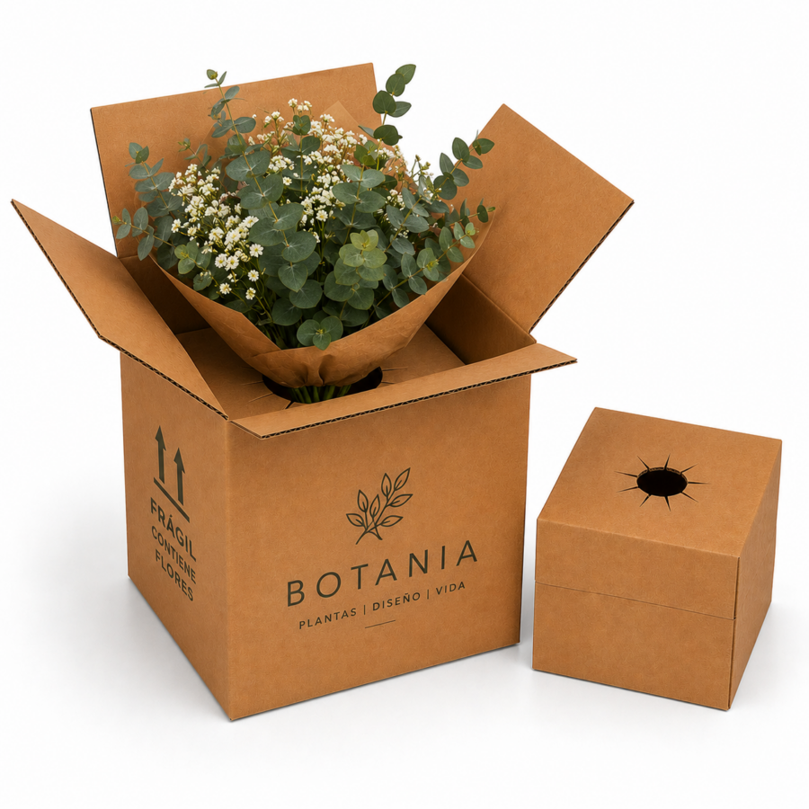 Caja para Flores y Plantas 24x24x30 cm con Ramo de Flores Caja para flores y plantas 24x24x30 cm con ramo de flores y soporte interior