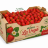 Caja de cartón personalizada llena de fresas para 2 kg Caja personalizada para fresas de 2 kg con impresión a color