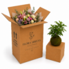 Caja para envío de flores y kokedamas 30x30x60 cm Caja para flores 30x30x60 cm con ramo floral y kokedama en cartón kraft para envíos de floristería