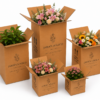 Cajas para flores y plantas personalizadas en cartón kraft Cajas de cartón kraft para flores y plantas con diferentes alturas y diseños para floristerías y envíos ecommerce