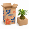 caja-personalizada-abierta-kokedama-verde-lumen-v3 Cajas para Flores y Plantas 24x24x50 cm con Soporte Interior