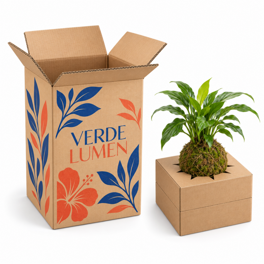 caja-personalizada-abierta-kokedama-verde-lumen-v3 Cajas para Flores y Plantas 24x24x50 cm con Soporte Interior